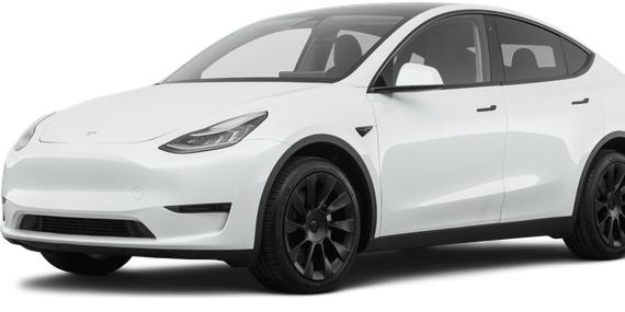 TESLA MODEL Y 2021 5YJYGDEE6MF304113 image
